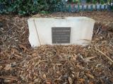 image of grave number 619086